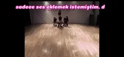 ses eklendi.d