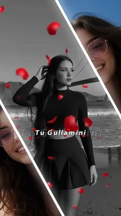 Kurmanci here gule 🌹