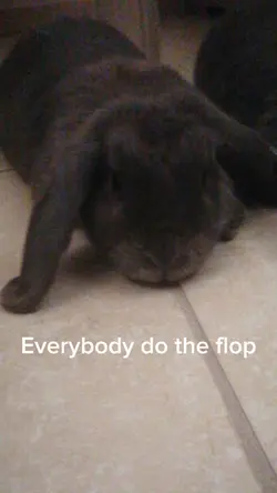 Everybody do the flp