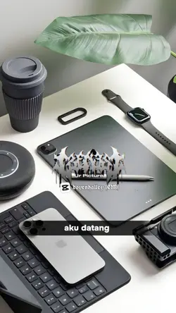 aku datang melamarmu