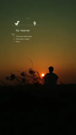 no internet 
