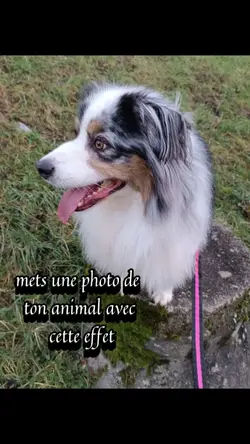 mets une photo 