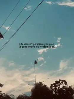 Hum 