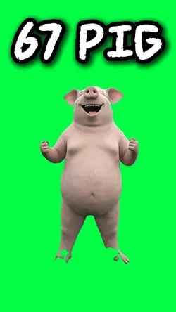 PIG HAS 67 BRAINROT
