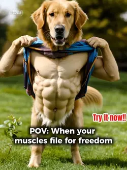 MUSCLES FILTER
