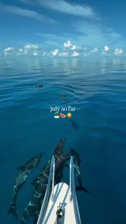 JULY SO FAR