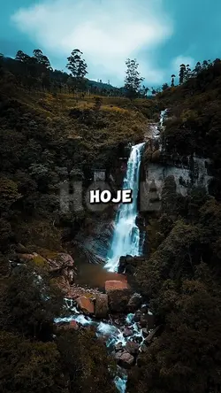 O QUE HOJE É DOR...
