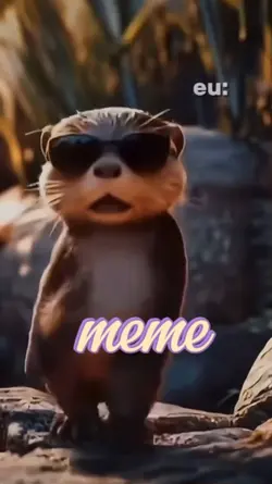 meme