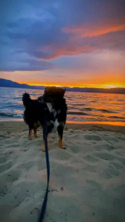 slomo sunset 🌅 