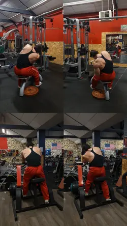 Collage grid video 4