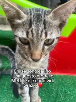 Ti voglio bene 😍 