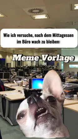 FUNNY DOG meme 