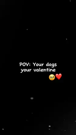 Dog valentine❤️