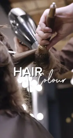 Hair colour id 
