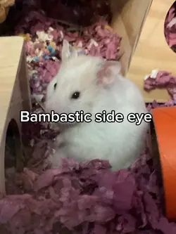 <3 