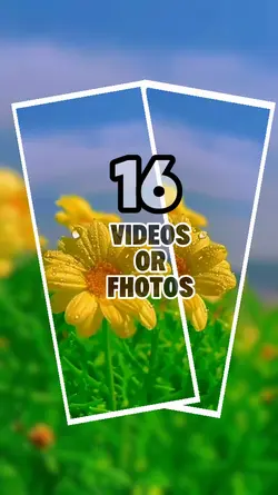 Nature Flower