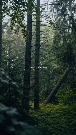 nature scenery