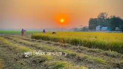 দুইটা জিনিস আপনাকে. 