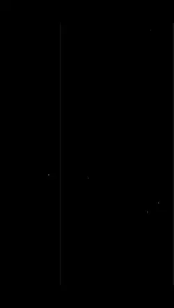 tiktok viral 