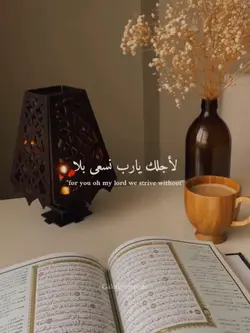 nashed