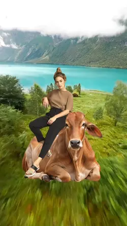 Naik Sapi Kurban
