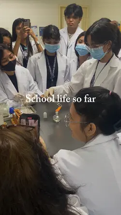 School Life so far