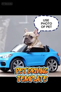 Pet Driving Away