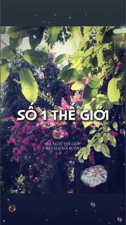 Số 1 thế giới