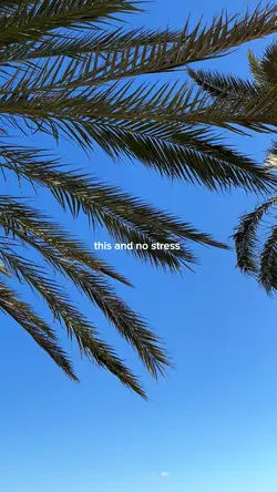 This and no stress
