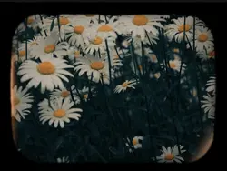 vlog retro
