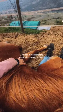 💝