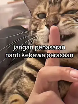 jangan penasaran