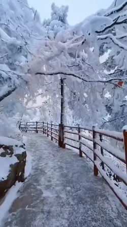 Wonderful world 