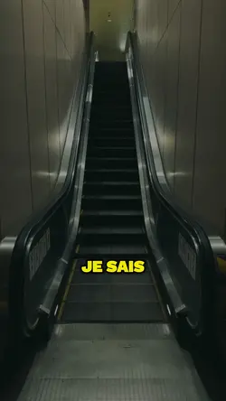 modèle capcut 