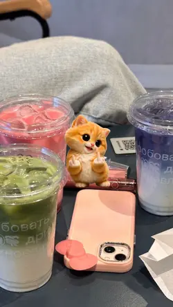 JJ cat dancing❤️‍🔥