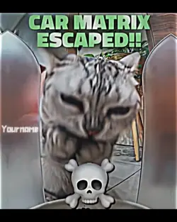 Free Template 
