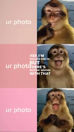 monkey pose trend