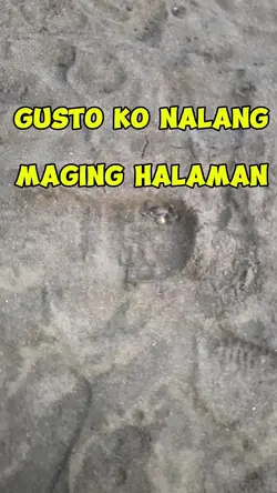 HALAMAN  