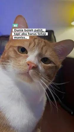aku maniss
