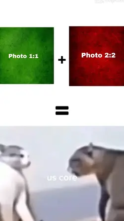 THIS IS EDIT MASTER