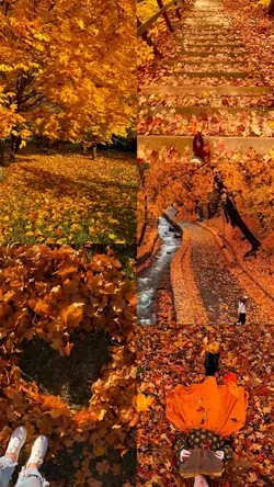 Autumn