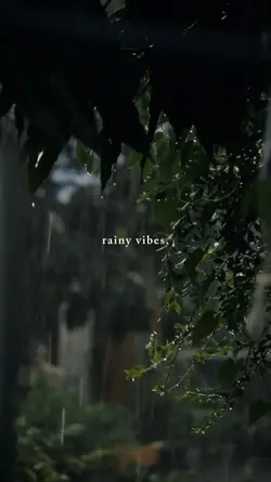 rainy vibes