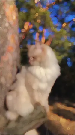 best slowmotion 