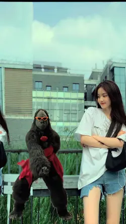 Gorilla Dance