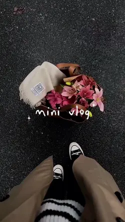 Mini Vlog