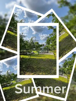 Summer