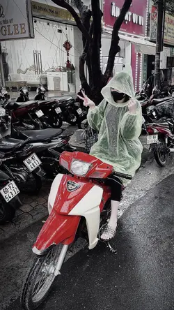 Trình chiếu 