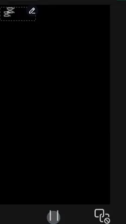 2024  2025