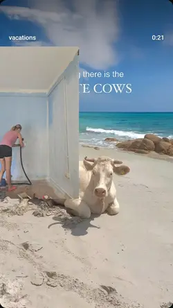 lavoro 