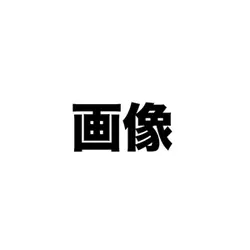 自由に使ってください！✨